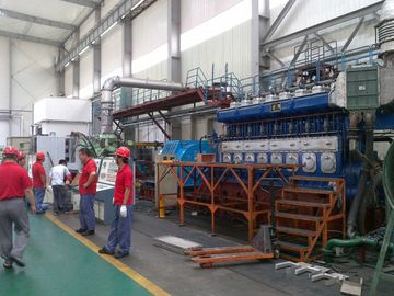 발전기 발전소 물은 디젤 엔진 발전기 11KV 750Rpm를 냉각했습니다