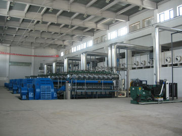 정지되는/디젤 엔진 땅 또는 중유 또는 가스 Genset 발전소 11000V