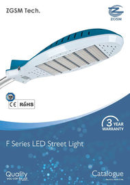 110 lm/w IP65 고성능 LED 도로 빛 플라스틱 렌즈를 가진 100개 와트